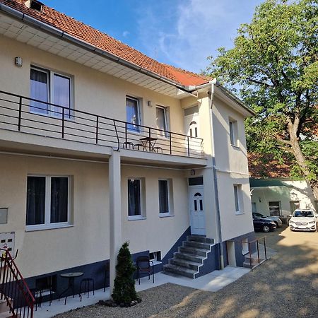 Crisan Residence - Vila Crisan 布拉索夫 外观 照片